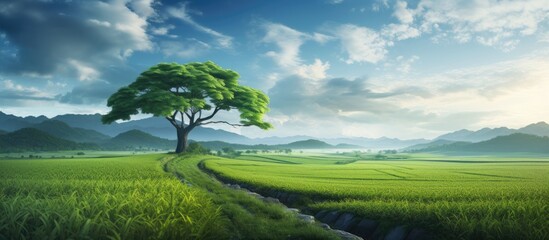 Aufkleber - Scenic view of a tree standing in a vast field with a tranquil stream flowing through it, capturing the beauty of lush green paddy fields. with copy space image. Place for adding text or design