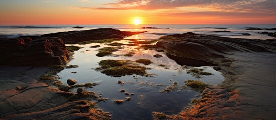 Aufkleber - The serene beauty of a sunset reflecting in a tidepool with rocks and algae-covered water. with copy space image. Place for adding text or design