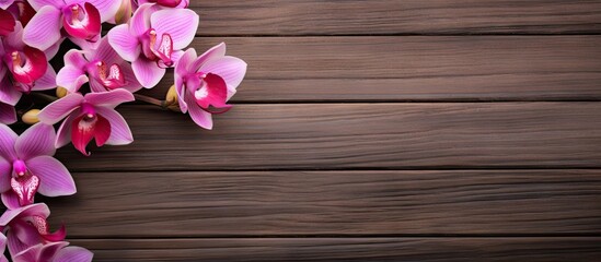 Fototapete - Single orchid bloom delicately resting on textured wooden surface. with copy space image. Place for adding text or design