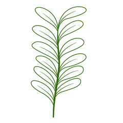 Wall Mural - Foliage Single Green Leaf Plant Outline, Vector Design Element Tropical Leaves
