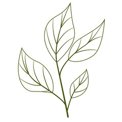 Wall Mural - Greenery Tropical Leaf Plant Outline, Decorative Element Design 
