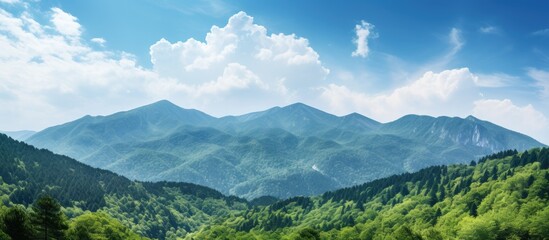 Canvas Print - Mountain range covered in lush trees under clear blue sky on a sunny day. with copy space image. Place for adding text or design