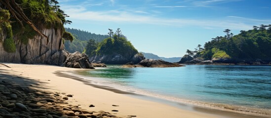 Poster - Hidden shoreline at the conclusion of the Otter trail, featuring rocks, water, and a cliff in tranquil seclusion. with copy space image. Place for adding text or design