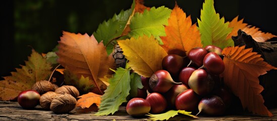 Aufkleber - Chestnuts and autumn leaves arranged in a still life composition. with copy space image. Place for adding text or design