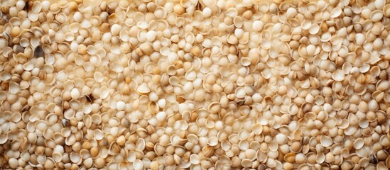 Aufkleber - Pile of assorted brown and white seeds captured in detail, showcasing an array of textures and colors. with copy space image. Place for adding text or design