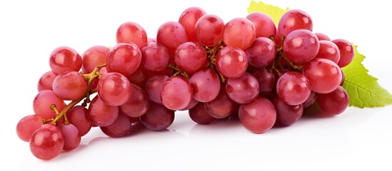Poster - Close-up view of a cluster of vibrant red grapes attached to their vine leaves. with copy space image. Place for adding text or design