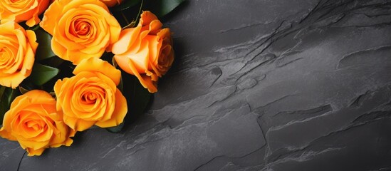 Fototapete - Vibrant yellow roses beautifully contrasted against a deep black background. with copy space image. Place for adding text or design