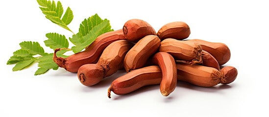Leinwandbilder - Tasty hot dogs topped with a sprig of fresh green leaf for added flavor. with copy space image. Place for adding text or design
