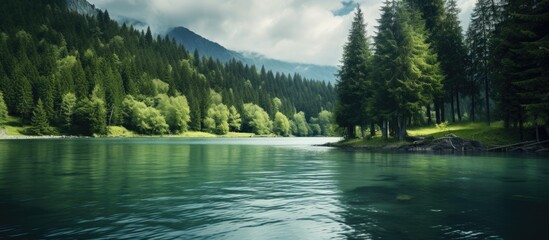 Wall Mural - Scenic view of a serene lake nestled in the mountains, surrounded by a lush shore dotted with trees. with copy space image. Place for adding text or design