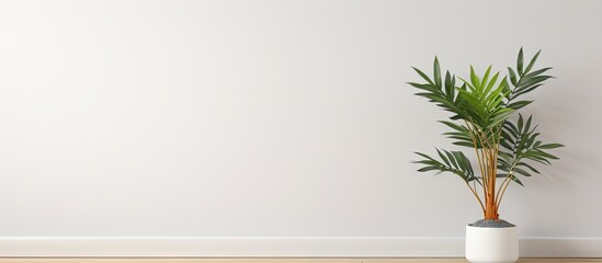 A white planter with a healthy plant placed on a wooden floor adding freshness to the home environment. with copy space image. Place for adding text or design