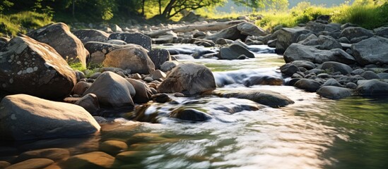 Wall Mural - Flowing water over rocks in a natural setting with soft sunlight illuminating the scene. with copy space image. Place for adding text or design