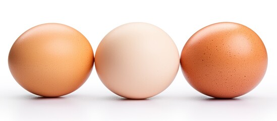 Fototapete - Arrangement of three eggs in a row on a plain white surface. with copy space image. Place for adding text or design
