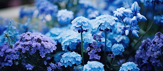 Aufkleber - Blue flowers scattered across a field, with one distinct bloom standing out prominently in the center. with copy space image. Place for adding text or design