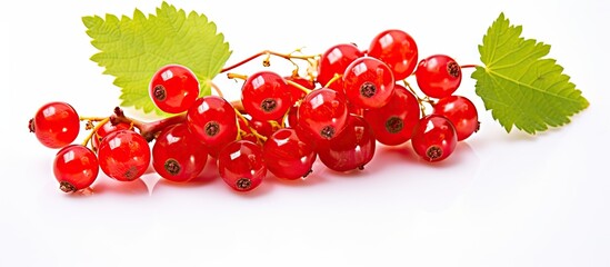 Fototapete - Bunch of fresh red currants with green leaves arranged on a clean white surface. with copy space image. Place for adding text or design