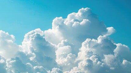 Wall Mural - White clouds in a sky of blue