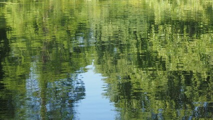 Wall Mural - green blue water texture background