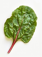 Wall Mural - Isolated on a white background, a vibrant chard leaf with a magenta stem, in a top view.