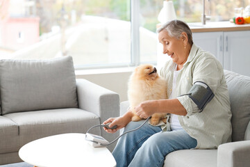 Wall Mural - Senior woman with Pomeranian dog measuring blood pressure on sofa at home