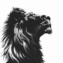 Wall Mural - A black and white drawing of a lion looking up