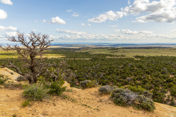 Dinosaur National Monument in Colorado and Utah in the spring