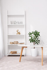 Shelving unit, coffee table and houseplants near white wall in white room