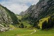 © Anna Tsukanova/Stocksy - Scenic meadow hidden in Swiss Alps