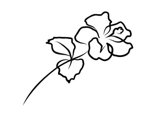 Aufkleber - Hibiscus flower in one continuous line drawing. Floral abstract symbol in simple linear style. Organic red herbal tea concept in editable stroke. Doodle outline vector illustration