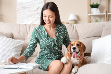 Sticker - Young woman with book petting adorable Beagle dog on sofa in living room