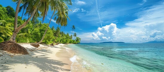 Wall Mural - Exotic Beach with White Sand and Coconut Trees: Ideal Destination for Travel and Tourism