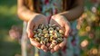 © LVSN - Girl's hands holding a handful of pistachios