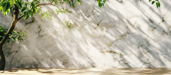 Poster - Spring sunshine highlighting a green tree branch casting shadows on a white marble wall, wooden table, with space for text.