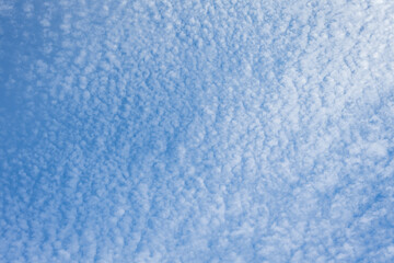 Wall Mural - Beautiful blue sky with high Cirrocumulus white clouds, textured nature background
