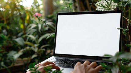 Wall Mural - A person is typing on a laptop in a lush green environment