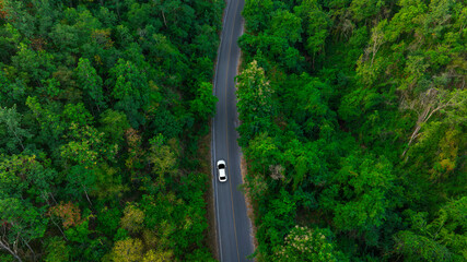 Wall Mural - Aerial view of dark green forest road and white electric car Natural landscape and elevated roads Adventure travel and transportation and environmental protection concept	