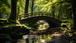 © Micro - Wooden Bridge Arcing Over Serene Stream in Tranquil Forest