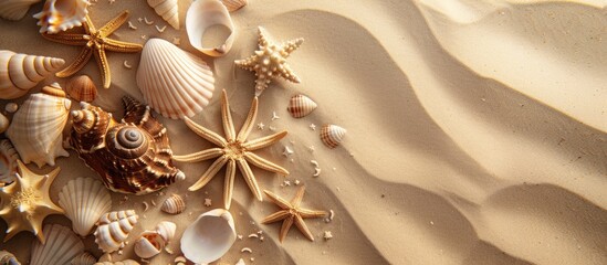 Wall Mural - Concept of summer with sea shells and starfish on sandy background