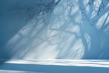 Wall Mural - Light blue background with subtle tree shadow for product presentation.