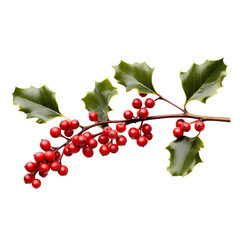 Wall Mural - branch of red currant