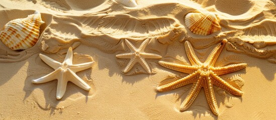 Canvas Print - Detailed Image of Sand Design on a Summer Beach