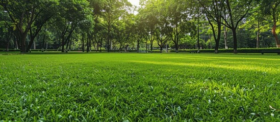 Canvas Print - Utilize a public park with a green grass field as a charming natural setting.