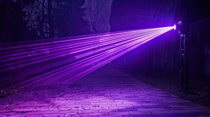 Wall Mural - a strobe light emitting purple beams of light in an outdoor, dark space 
