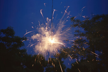 火, 炎, 花火, 線香花火, 夏, 祝い, 祭り, 光, fire, flame, fireworks, sparkler, summer, celebration, festival, light