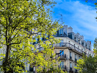 Antique building view in Paris city, France. 