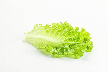 Ripe green salad lettuce leaf