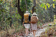 © itchaznong - Couple adventure hiking exploration a Forest Trail with Backpack and Hats in a Lush Green Outdoor Setting