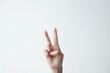 © design - 手, 指, ハンドサイン, サイン, ジェスチャー, 白背景, hand, finger, hand sign, sign, gesture, white background
