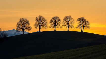 Wall Mural - Silhouetted trees on hill at sunset with glowing sky