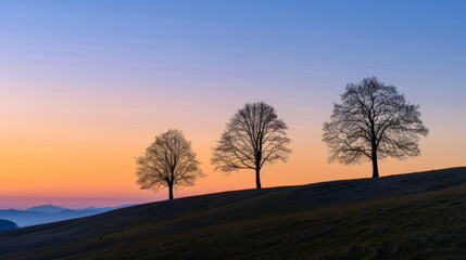Wall Mural - Silhouettes of trees on moraine hills at sunset