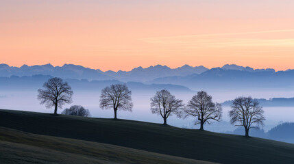 Wall Mural - Tranquil sunset landscape with tree silhouettes on hills
