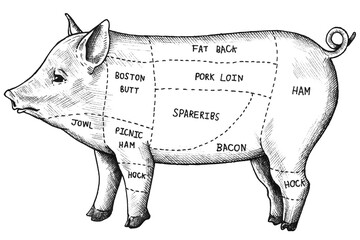 Poster - Black and white png cut of pig